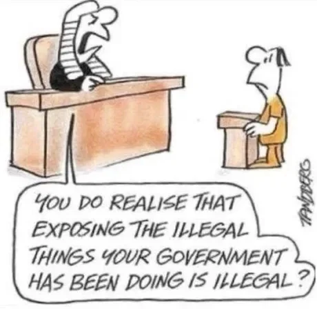 illegal to expose government