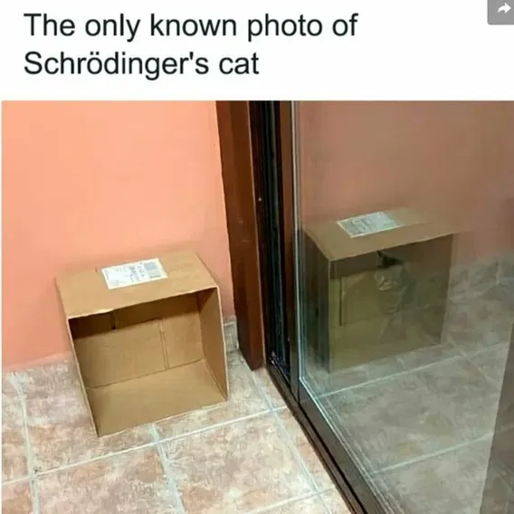 The only known photo of Schrodinger’s cat