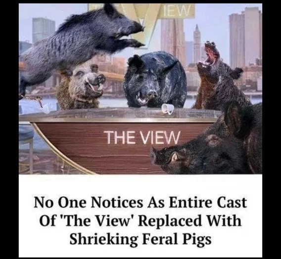 huh?